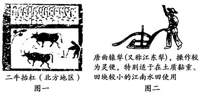 按人口分田亩_人口普查图片