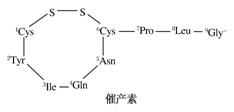 加压素具有升高血压和减少排尿的作用