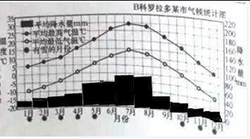 巴西最显著的人口特征_巴西气候类型及特征(3)