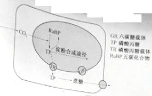 人口饱和点_人口普查图片