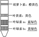 (2)分离:各种色素在 中溶解度不同,溶解度高的随层析液在滤纸