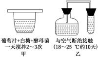 (1)该过程表明酵母菌异化作用的特点是