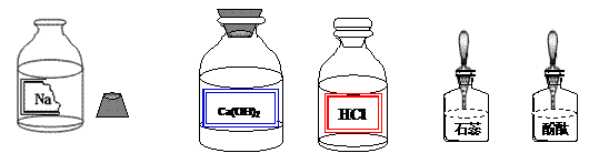 [提出问题]这瓶溶液是什么溶液?