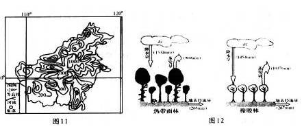 热带人口占_中国肥胖人口占比