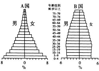 人口金字塔图的判读_人口金字塔