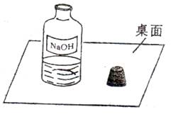有关氢氧化钠变质问题的探究试卷及参考答案