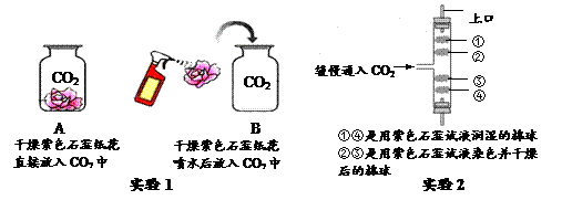 某同学设计如下图所示实验,探究二氧化碳的有关性质.