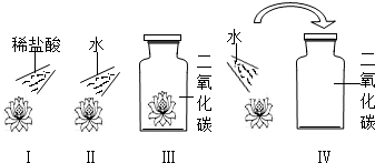 19某同学设计了如下一组实验取四朵用石蕊试液染成的紫色的干燥纸花