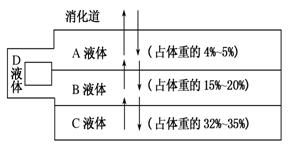 (1)a-d代表体液的各组成部分,说出其名称:a________,b________,c