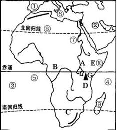 世界各大洲人口自然增长率_世界人口自然增长率图(3)