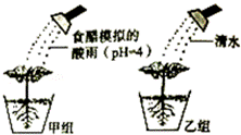 (2015绵阳)通过实验探究酸雨对植物的影响,如图所示.