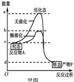 试卷 第1节 降低化学反应活化能的酶 训练案 题目详情(1)酶的作用