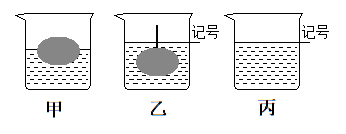 发现橙子浮在水面上(如图甲,用天平测出烧杯,水和橙子的总质量465g