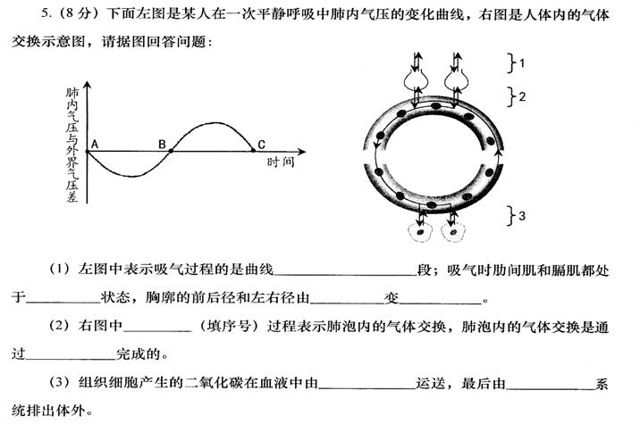 人口呼吸系统_呼吸系统