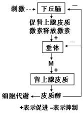 保山人口结构_云南保山(3)