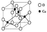 (2)右图是铜的某种氧化物的晶胞结构示意图,可确定该晶胞中阴离子的个