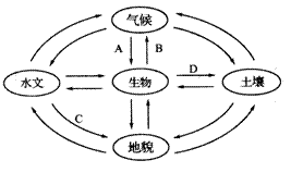 右图是"地理要素相互关系示意图,读图完成下列各题.