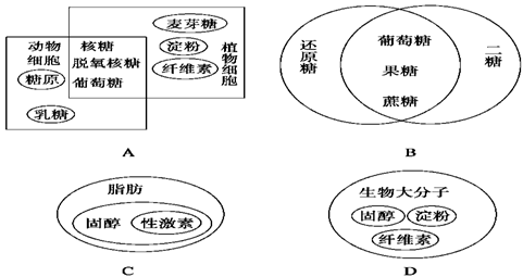 揭阳华侨人口_揭阳华侨高级中学照片