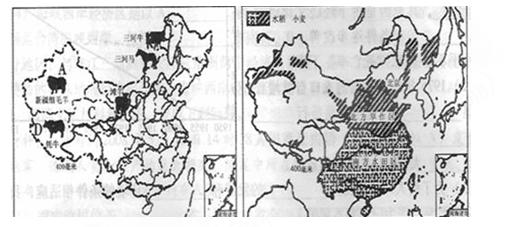 东青镇人口_苍溪东青镇贾家洞(2)