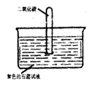 ⑶二氧化碳通入澄清石灰水中