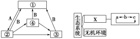 甲,乙两图均为生态系统成分及结构关系图,试解读