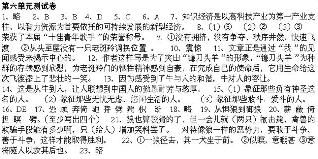 写物的作文500字