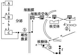 血液中雌性激素含量通过反馈调节维持相对稳定d.