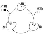 32015安徽六校联考如图为酶与底物结合示意图下列有关叙述不正确的是