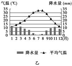 印度人口出生率_人口8年后超中国 印度搞了60多年计划生育,为什么没搞成(3)