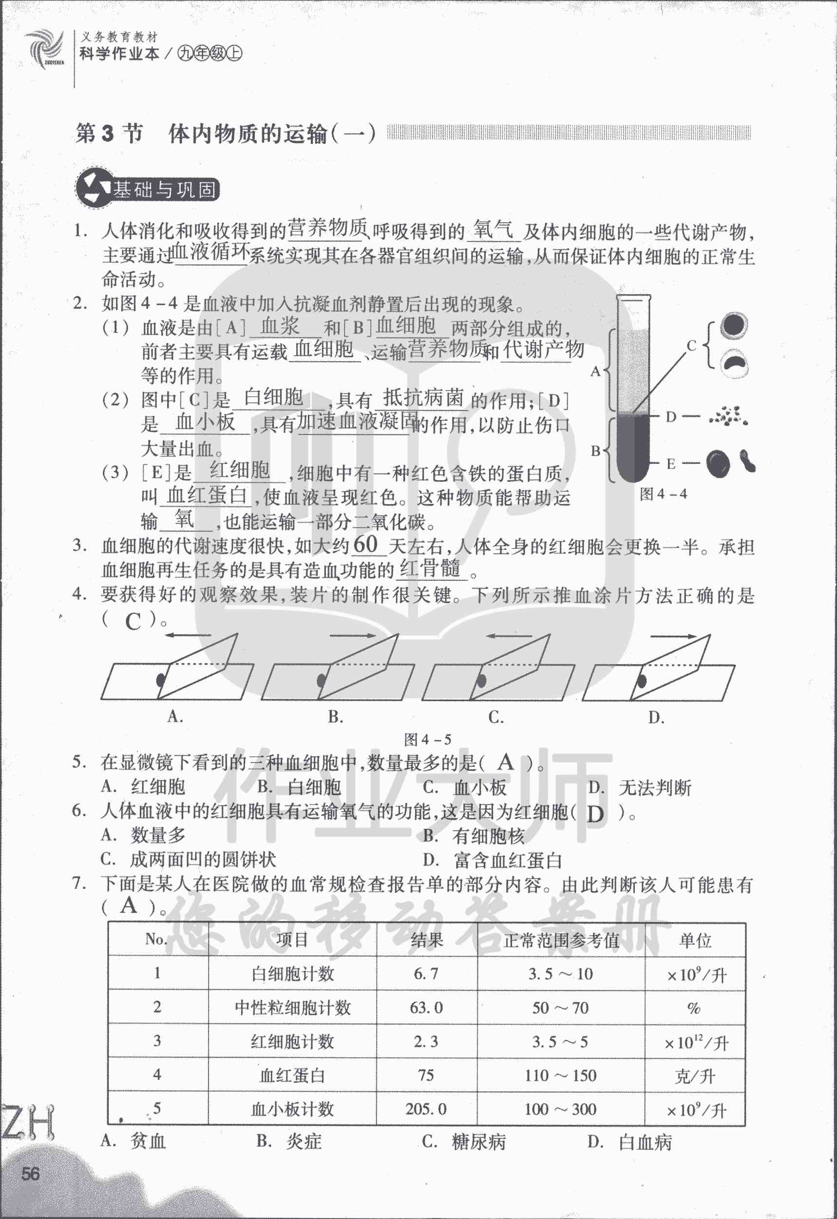 作業(yè)本B 第56頁