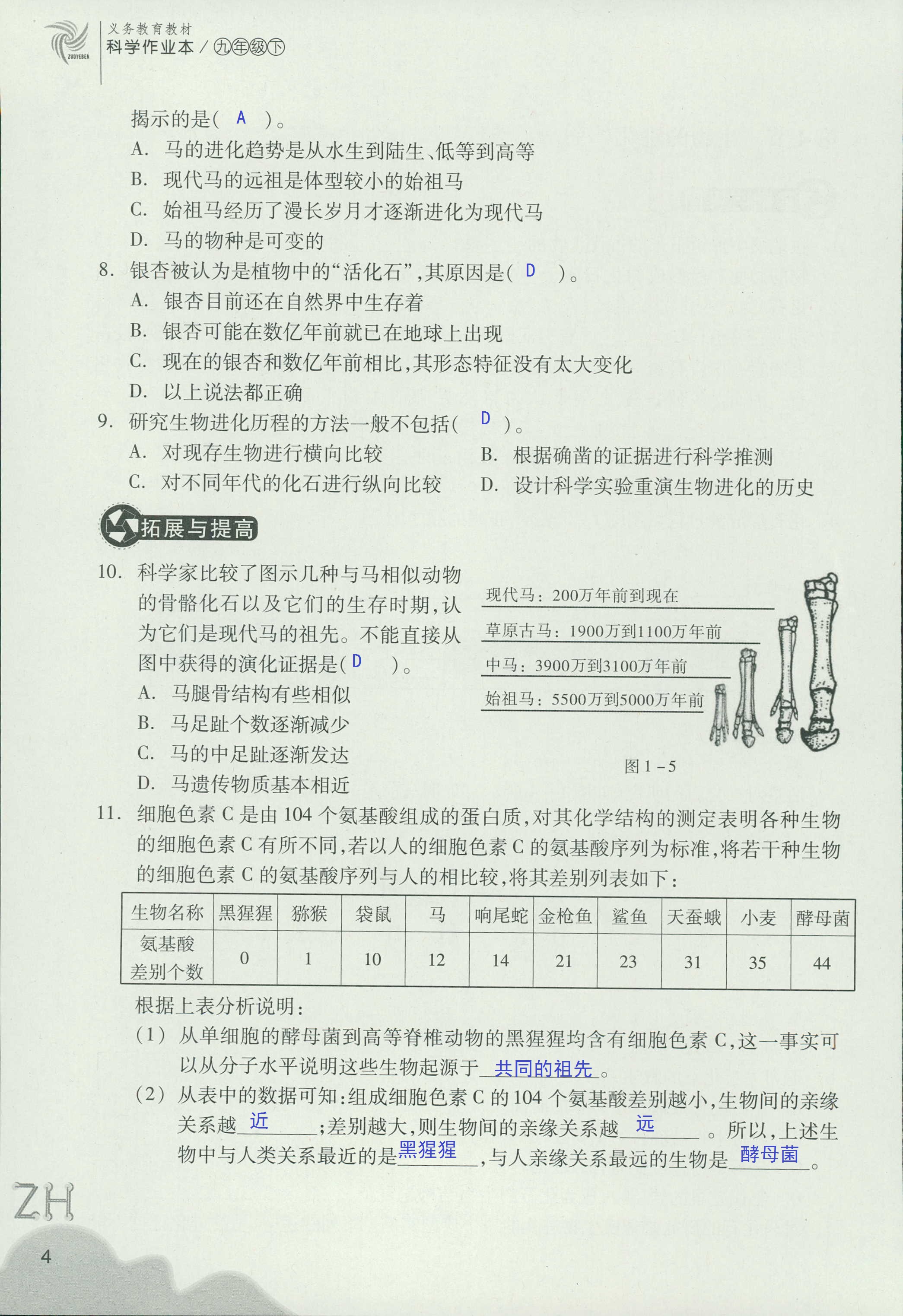 作業(yè)本B 第4頁