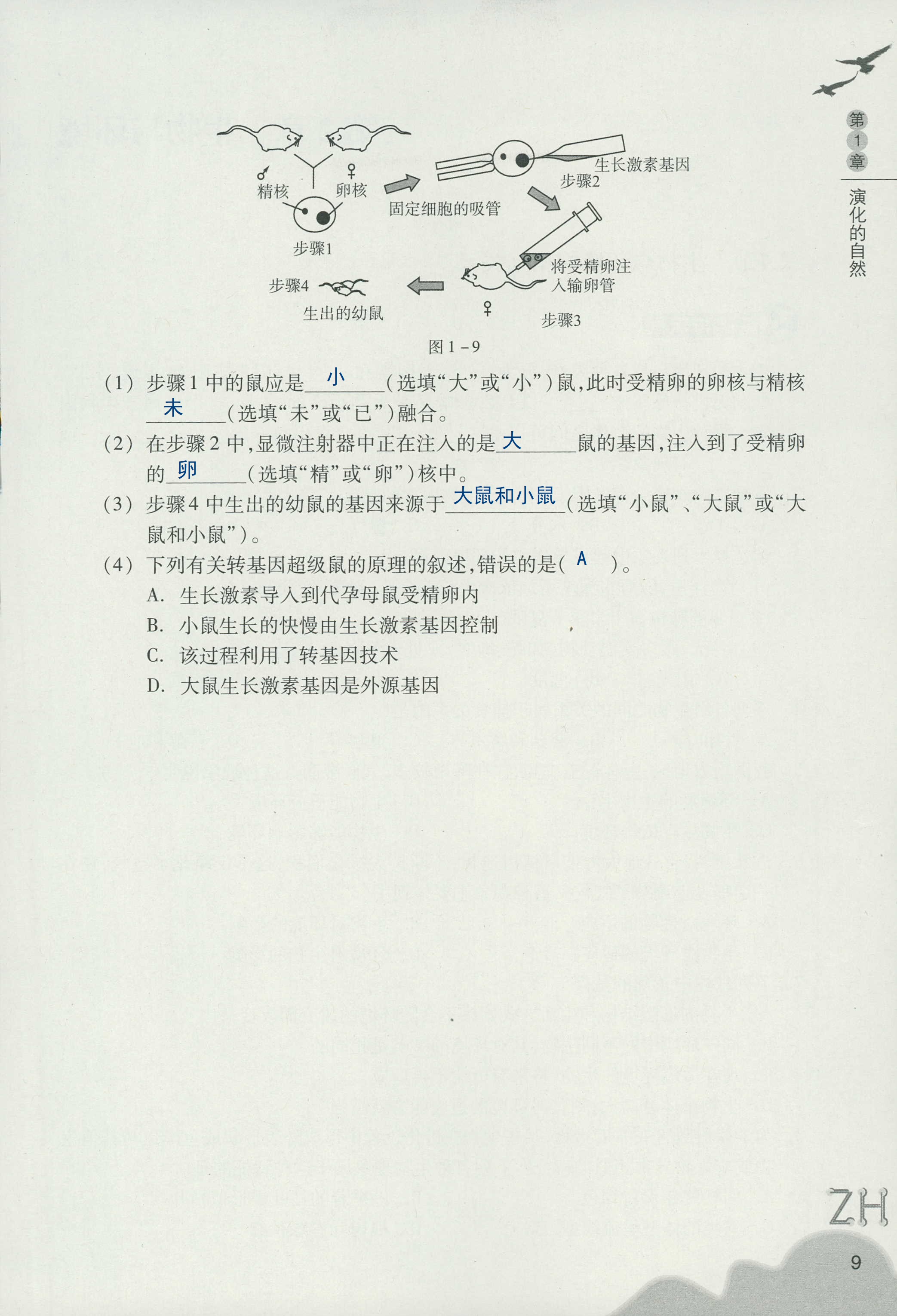 作業(yè)本B 第9頁