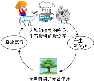 某物质在隔绝空气加强热时生成的二氧化碳和水,则此物质的组成叙述