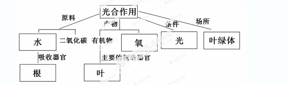 解答解:光合作用的概念是:绿色植物利用光能,通过叶绿体,把二氧化碳和