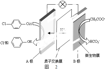 有机物的沸点如表所示:试剂乙醚乙醇乙酸