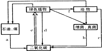 如图为生态系统碳循环示意图.请据图回答