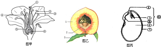 15.如图是花,果实,种子的结构图,请根据图回答