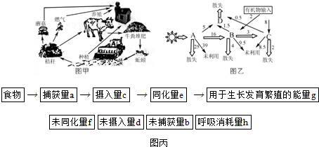 主要表现怎么填