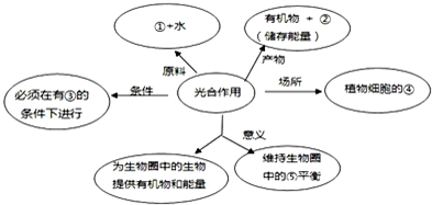 17.如图是光合作用概念图,请据图回答