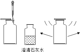 澄清石灰水变 浑浊 吸入的空气的二氧化碳含量比呼出的气体低