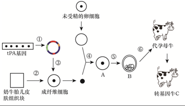 下列各项实验中所用的试剂.作用相同的是( )A.