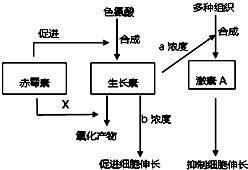 色氨酸是由植物的根从土壤中通过主动运输吸收获得 b.