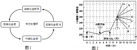 如图1显示卡尔文循环的其中一些阶段.据图回答问题.