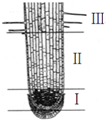 15.①-⑤是有关显微镜的几个操作步骤.如图1.2