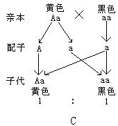 在一些性状的遗传中,具有某种基因型的受精卵不能完成胚胎发育,导致