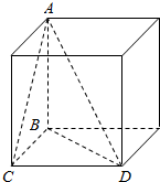 解答对于⑤作出正四面体的图形,球的球心位置,说明oe是内切球的半径