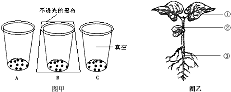 物像信息通过视神经传给大脑的一定区域,人就产生了视觉.