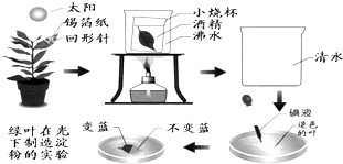 欲字组词