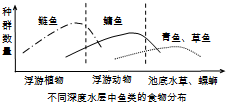 某池塘内人工养殖的四大家鱼及其主要天然食物在不同深度水层的分布