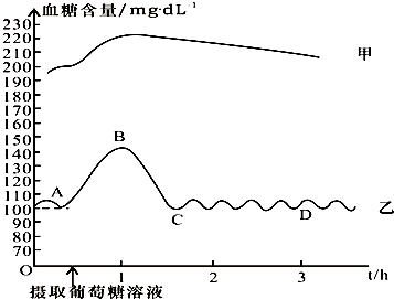 如图为糖尿患者和正常人在摄取葡萄糖后血糖含量的变化曲线.